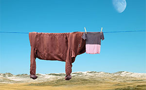 21 Creative Animal Figures Made From Laundry And Captured In Breathtaking Landscapes By This Artist