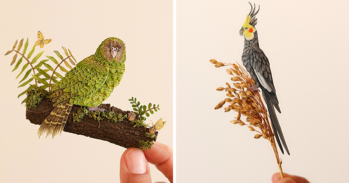 I Create Paper Art, And Here’s My Collection Of 40 Miniature Parrots