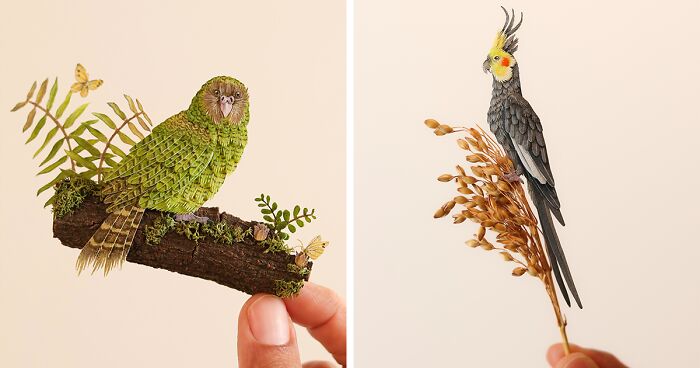 Here’s My Collection Of 40 Miniature Paper Artworks Featuring Parrots