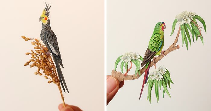 I Create Paper Art, And Here’s My Collection Of 40 Miniature Parrots