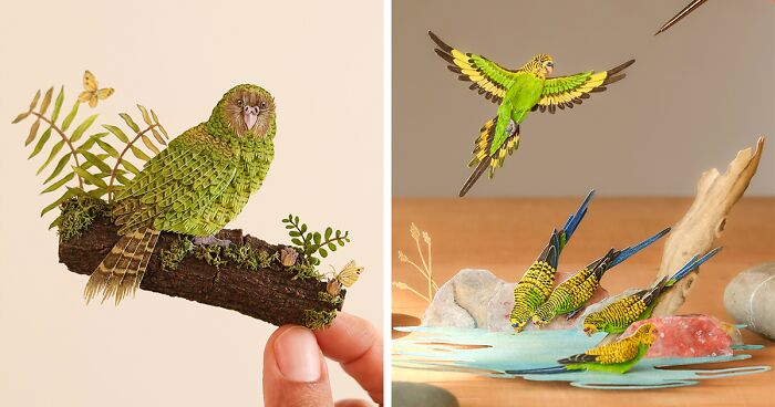 I Create Paper Art, And Here’s My Collection Of 40 Miniature Parrots