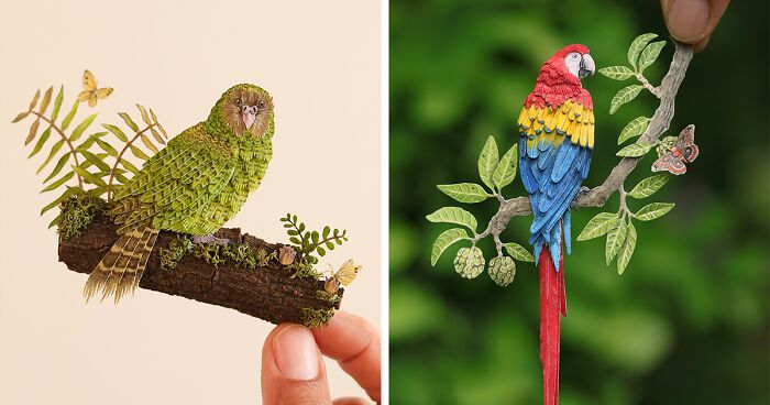 I Create Paper Art, And Here’s My Collection Of 40 Miniature Parrots