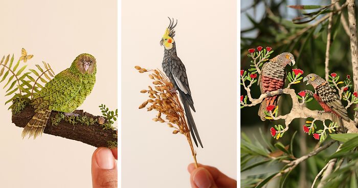 I Made A Vibrant Collection Of 40 Miniature Paper Parrots