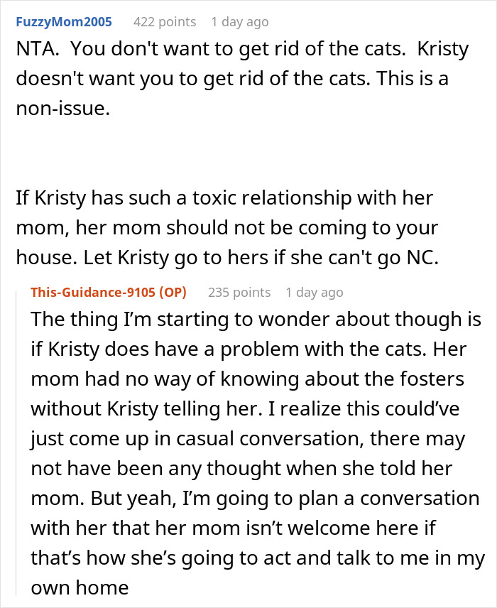 Mom Demands Woman Get Rid Of Her Own Cat Because Of Pregnant Daughter, Gets Banned From House