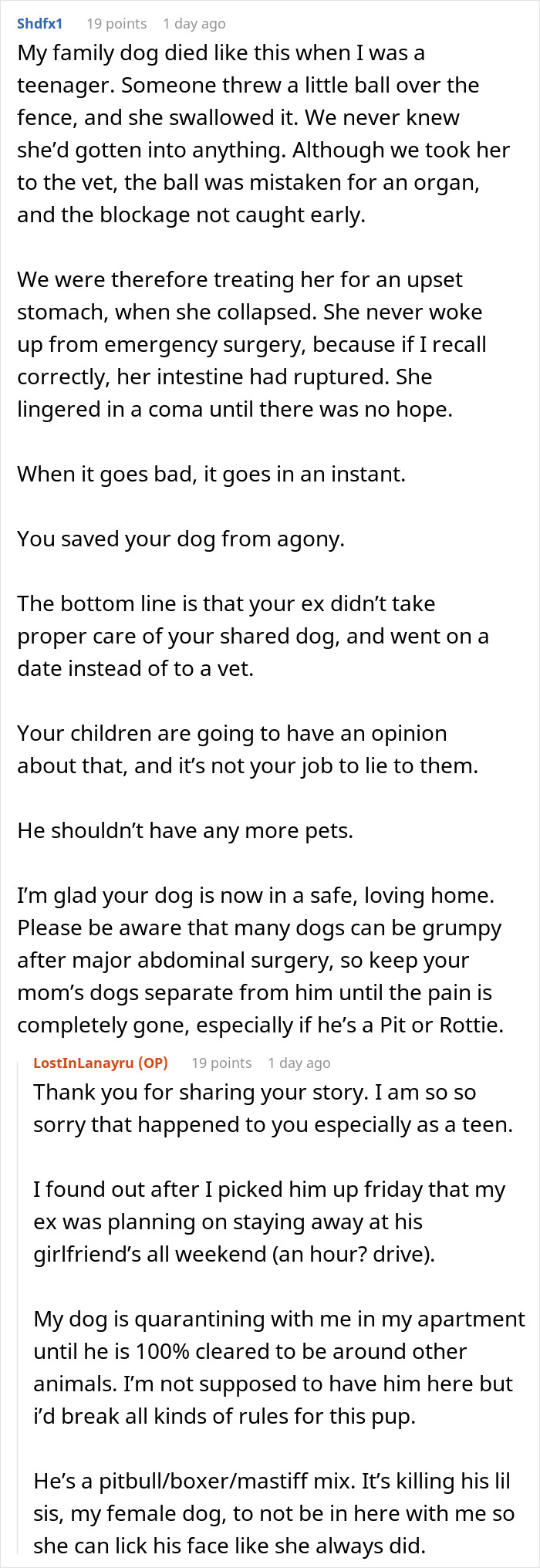 Guy Almost Lets His Kids’ Dog Die Out Of Carelessness, Clueless Why The Kids Suddenly Hate Him 