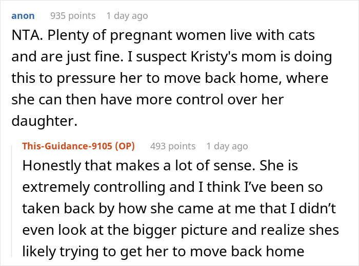 Mom Demands Woman Get Rid Of Her Own Cat Because Of Pregnant Daughter, Gets Banned From House