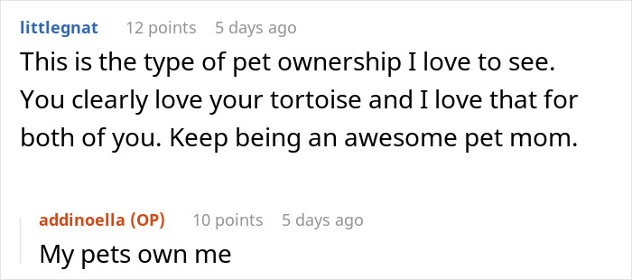 People Online Are Obsessed With This Cute Tortoise And His Owner, Who Got A Matching Manicure