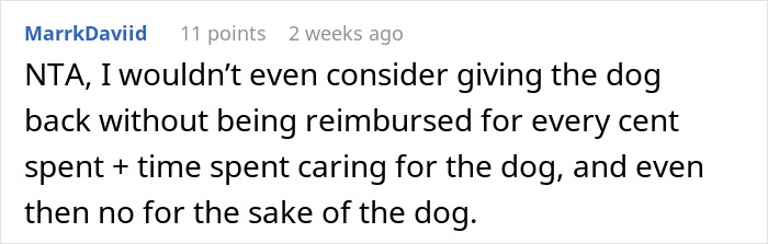 “Ignored All My Calls And Texts”: Neighbors Move Out, Leaving Their Dog Behind, Now Want Him Back