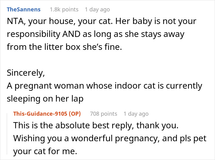 Mom Demands Woman Get Rid Of Her Own Cat Because Of Pregnant Daughter, Gets Banned From House