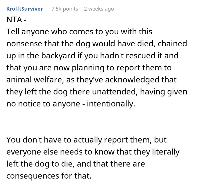 “Ignored All My Calls And Texts”: Neighbors Move Out, Leaving Their Dog Behind, Now Want Him Back