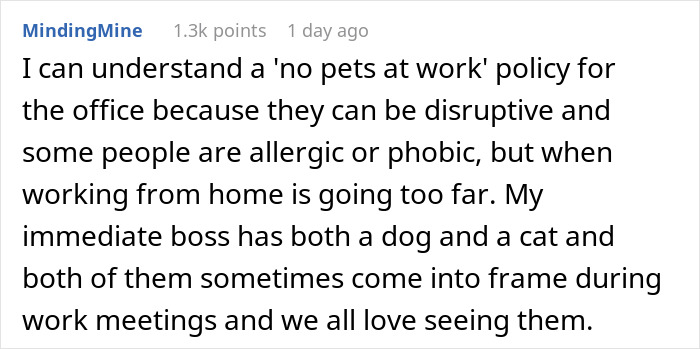 “My Dog Was Simply Sitting”: Worker Maliciously Complies With No-Dogs Home Office Policy