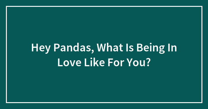 Hey Pandas, What Is Being In Love Like For You? (Closed)