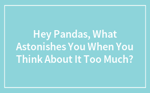 Hey Pandas, What Astonishes You When You Think About It Too Much?