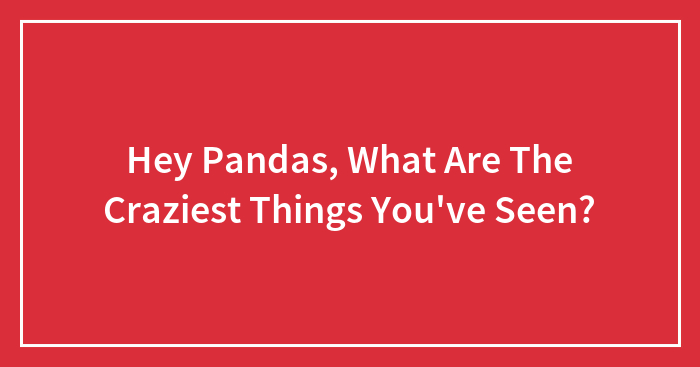 Hey Pandas, What Are The Craziest Things You’ve Seen? (Closed)