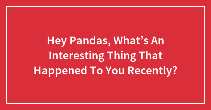 Hey Pandas, What’s An Interesting Thing That Happened To You Recently? (Closed)