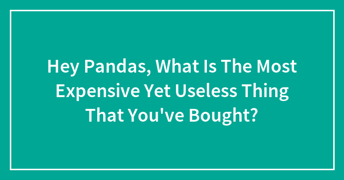 Hey Pandas, What Is The Most Expensive Yet Useless Thing That You’ve Bought? (Closed)