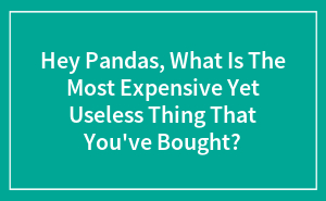 Hey Pandas, What Is The Most Expensive Yet Useless Thing That You've Bought? (Closed)