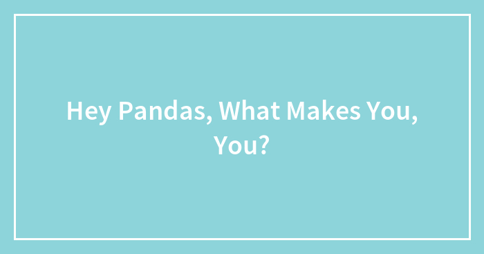 Hey Pandas, What Makes You, You? (Closed)