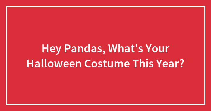 Hey Pandas, What’s Your Halloween Costume This Year? (Closed)