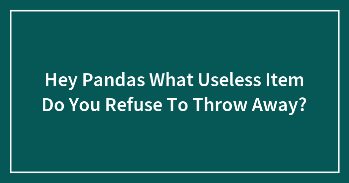 Hey Pandas, What Useless Item Do You Refuse To Throw Away?