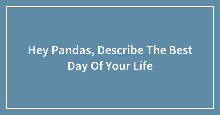 Hey Pandas, Describe The Best Day Of Your Life