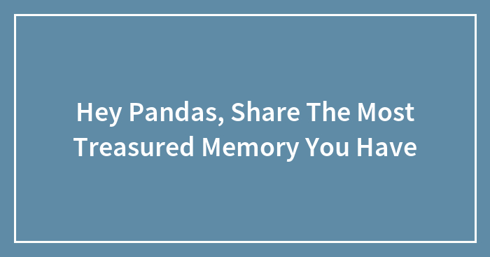 Hey Pandas, Share The Most Treasured Memory You Have