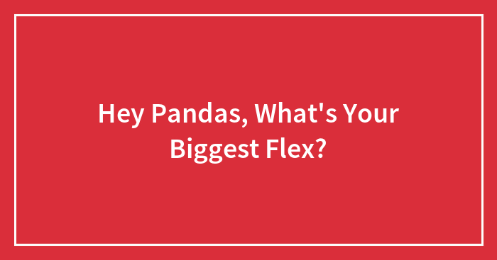 Hey Pandas, What’s Your Biggest Flex? (Closed)