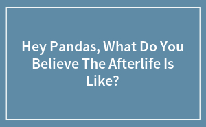 Hey Pandas, What Do You Believe The Afterlife Is Like?