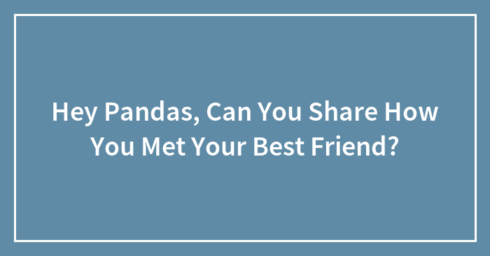 Hey Pandas, Can You Share How You Met Your Best Friend? (Closed)