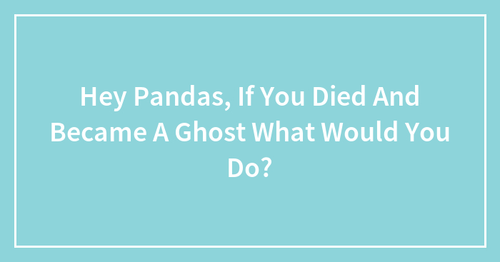 Hey Pandas, If You Died And Became A Ghost What Would You Do?