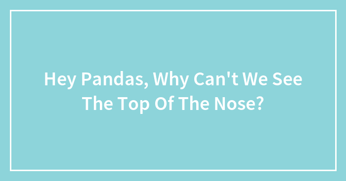 Hey Pandas, Why Can’t We See The Top Of The Nose?