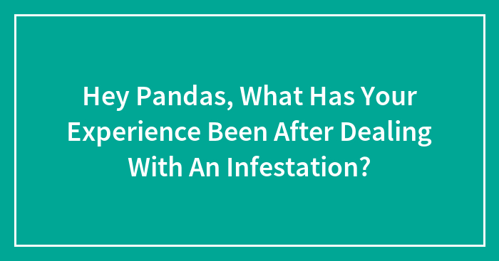 Hey Pandas, What Has Your Experience Been After Dealing With An Infestation?