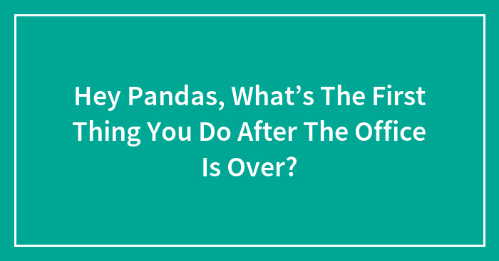 Hey Pandas, What’s The First Thing You Do After The Office Is Over?