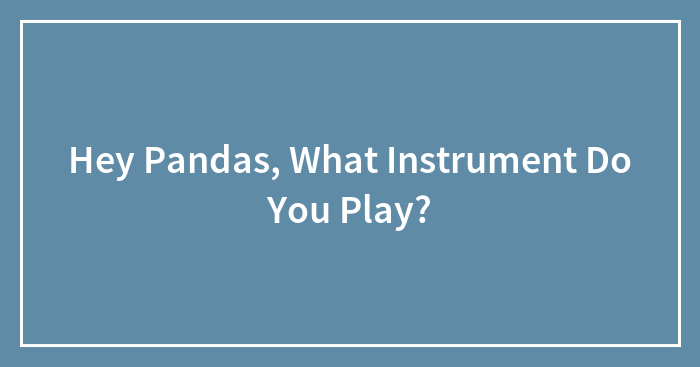 Hey Pandas, What Instrument Do You Play?