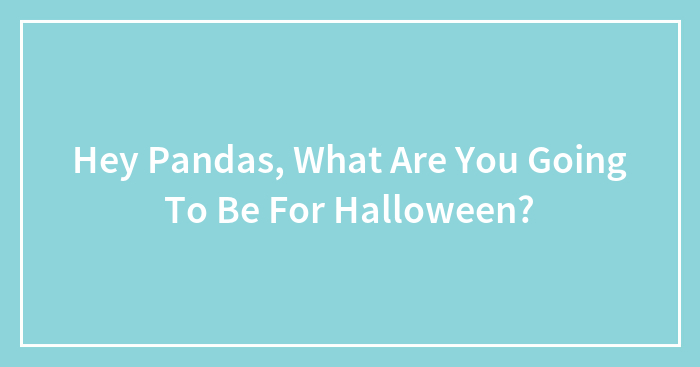 Hey Pandas, What Are You Going To Be For Halloween? (Closed)