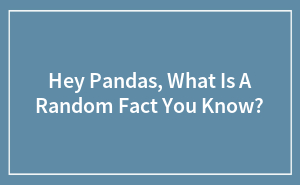 Hey Pandas, What Is A Random Fact You Know?