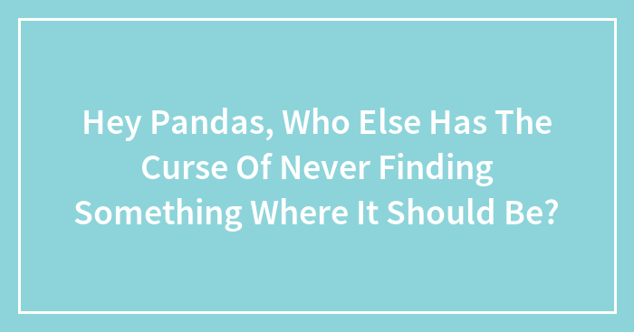 Hey Pandas, Who Else Has The Curse Of Never Finding Something Where It Should Be? (Closed)