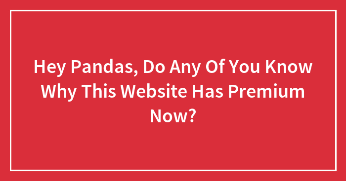 Hey Pandas, Do Any Of You Know Why This Website Has Premium Now?