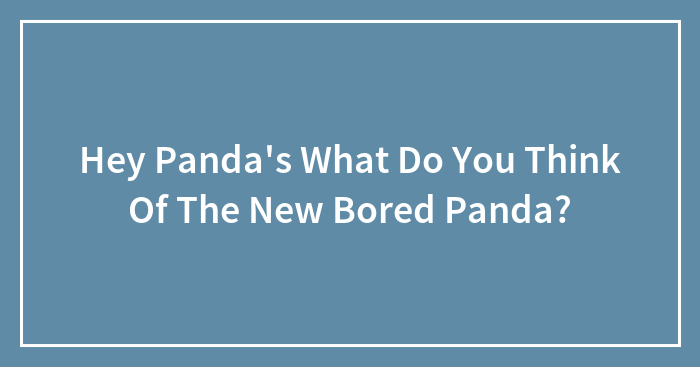 Hey Panda’s What Do You Think Of The New Bored Panda?