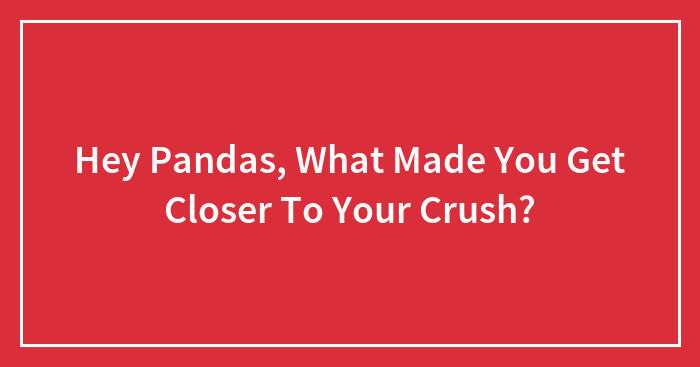 Hey Pandas, What Made You Get Closer To Your Crush? (Closed)