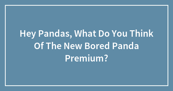 Hey Pandas, What Do You Think Of The New Bored Panda Premium? (Closed)