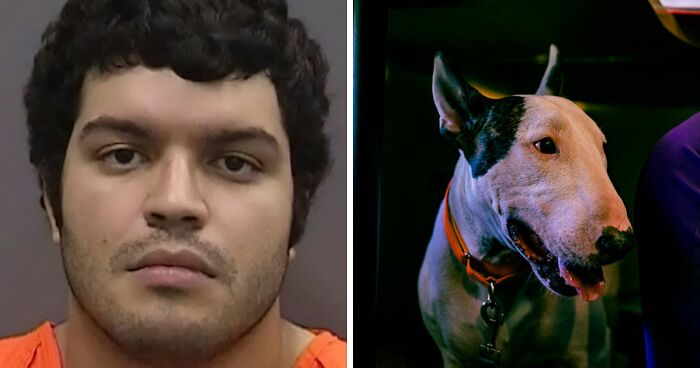 Cruel Owner Arrested For Tying His Dog To Fence During Hurricane Milton Reveals Why He Did It