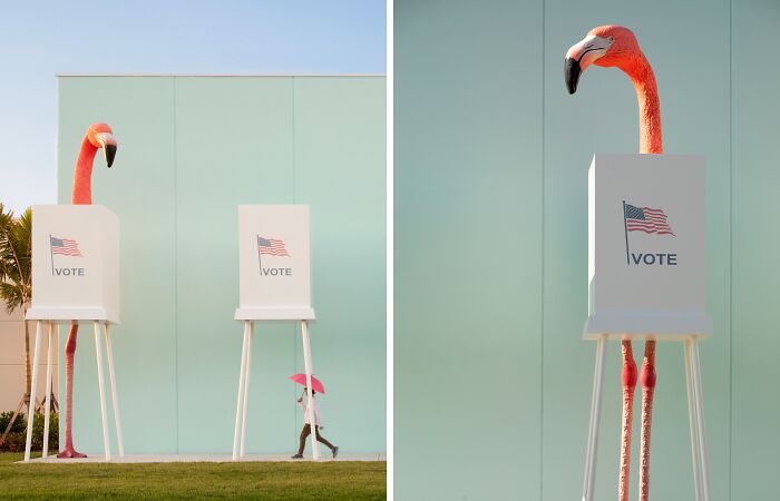 Flamingo Fever: Inspiring Votes With A Pop Of Pink (17 Pics)