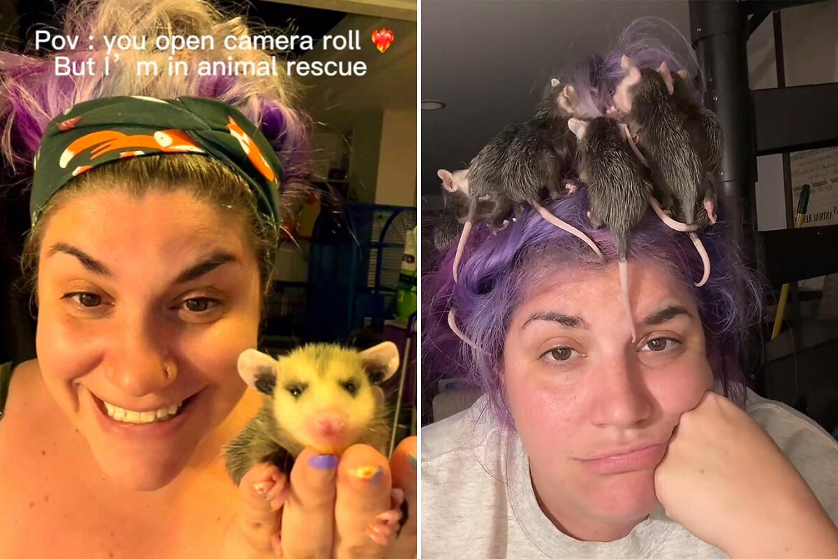 Animal Rescue TikToker Accused Of Endangering Baby Squirrels’ Lives Claps Back At “Toxic” Hater