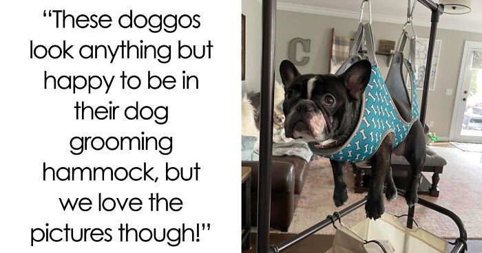 21 Insanely Cute Pets Reviewing Products On Amazon For Your Entertainment