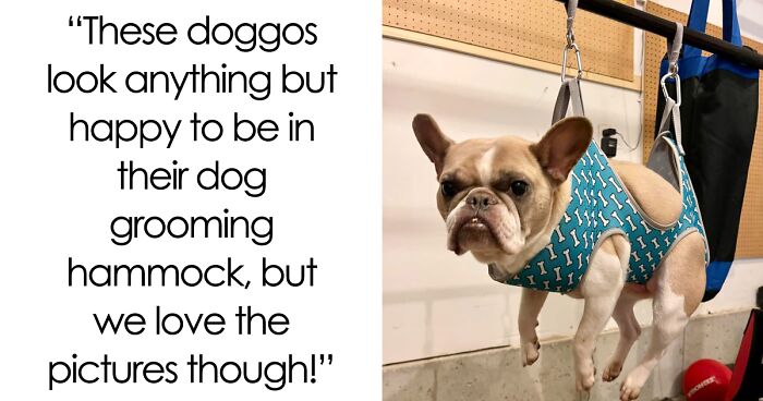 21 Times Pets Popped Up In Reviews, Making Us Want To Buy Stuff Even Harder