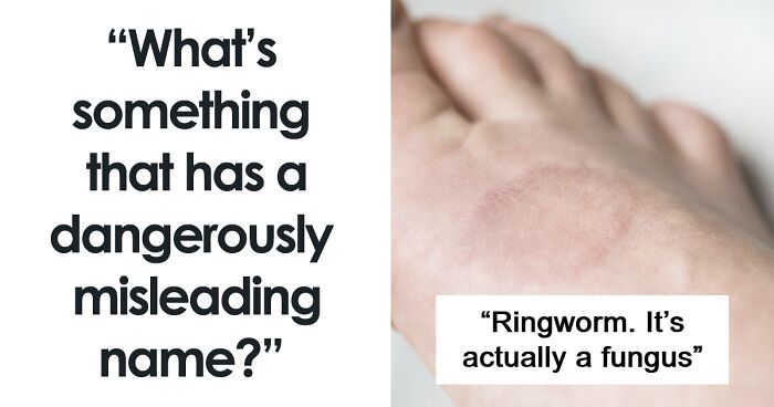 “What’s Something That Has A Dangerously Misleading Name?” (52 Answers)