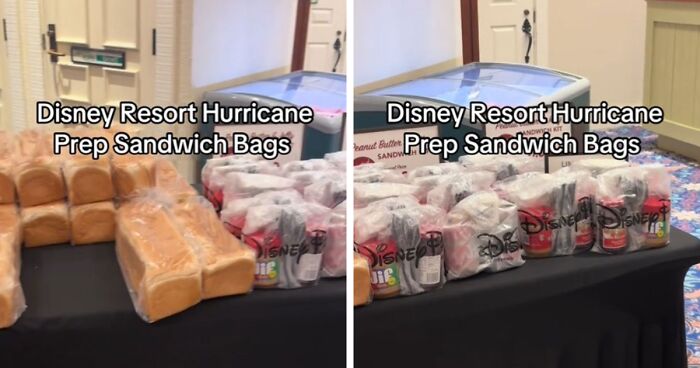 $10 “Prep Sandwich Bags” Sold To Guests Stuck In Disney Resort During Hurricane Milton