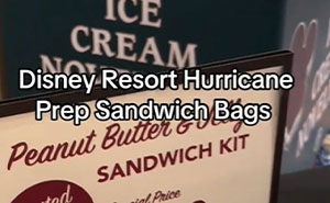 Guests Stuck In Disney Resort During Hurricane Milton Charged $10 For “Prep Sandwich Bags”