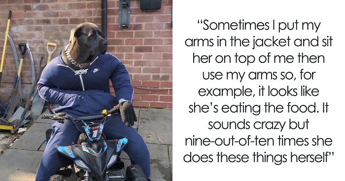 Hilarious Videos Of Mist The Cane Corso Dressed As Human Go Viral, Earn Her Over 1K A Month